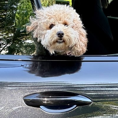 Mark Garner's profile picture