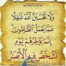 نفس لوامه's profile picture