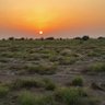 Фото профиля الوافي الشهري