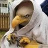 J. Petter's profile picture
