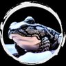 Snowtoad profil fotoğrafı