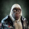 Mils1801's profile picture