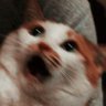 Potasus's profile picture