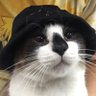 Sem Léi Ψ🍉's profile picture