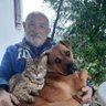 Ali Haldun Ariturk's profile picture