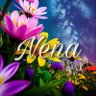Фото профиля Nena