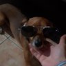 Profilbild von luchi
