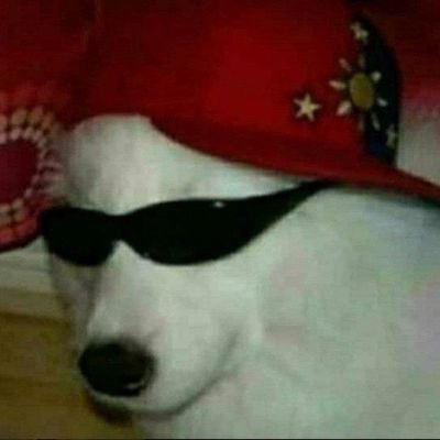 Pérolas dos memes's profile picture