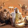 💜🤍🪻🇦🇪 𝐀𝐋𝐀𝐈𝐍 𝐃𝐀𝐑𝐈💜🤍🪻🇦🇪 profil fotoğrafı