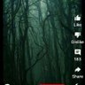 NewNightGallery 的头像