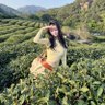 Profilbild von 鲜果橙🧚‍♀️