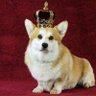 👑 ⚜ Suzanne Brmptn ⚜ 👑 的头像