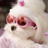 скитлстряпка profil fotoğrafı