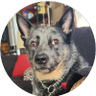Kosk1971's profile picture