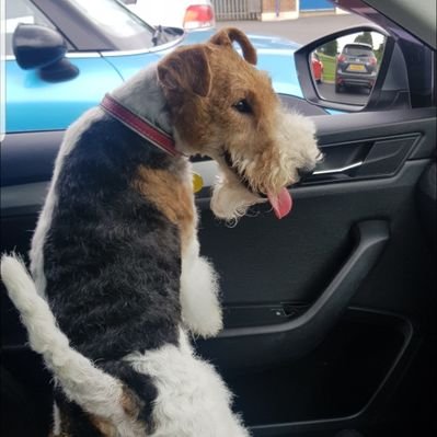 JOHN's profile picture