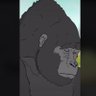 lankiWmunki's profile picture
