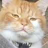 noname profil fotoğrafı