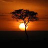 MnyembeAfrica's profile picture