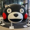 KumaMon's profile picture