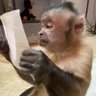 BBC_Pajero's profile picture