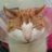 Janet Edgeller's profile picture
