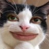 Profilbild von GalaxiaStar