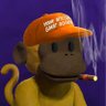 BradyDonovan.sats's profile picture