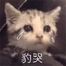 雨苓OVO's profile picture