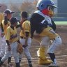 a yoshi 的头像