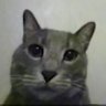 Profilbild von Morph