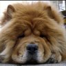 Profilbild von そこにいたの