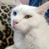 TK りそな profil fotoğrafı