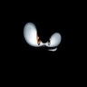 3_ky's profile picture