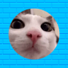 Profilbild von KC Plink / Foxxim