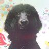 ミルメア's profile picture