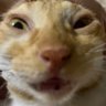 Profilbild von Fepe