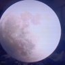 Фото профиля moonlight