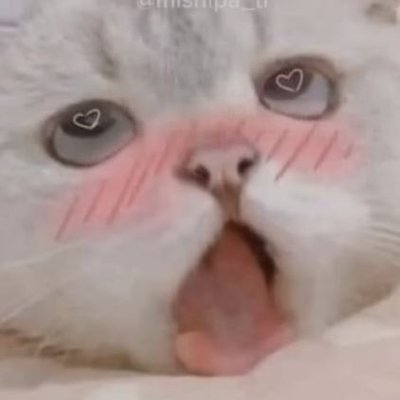 lilith.lee's profile picture