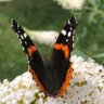 Margaret10563's profile picture