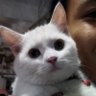 ขาวยันไข่'s profile picture