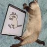 云和 profil fotoğrafı
