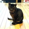 通りすがり profil fotoğrafı