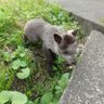 Profilbild von ぽち