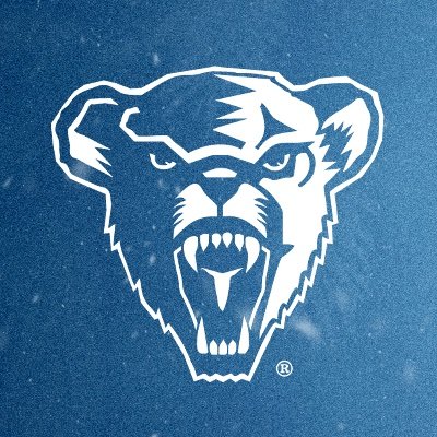 Maine Football's profile picture
