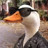 Фото профиля Duck Lad