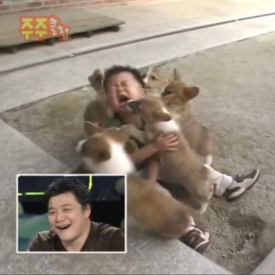 뿌푸's profile picture