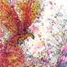 transcendelic's profile picture