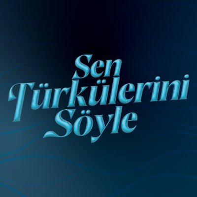 turkulersoyle's profile picture