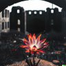 Deus's profile picture