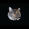 Фото профиля CATKER